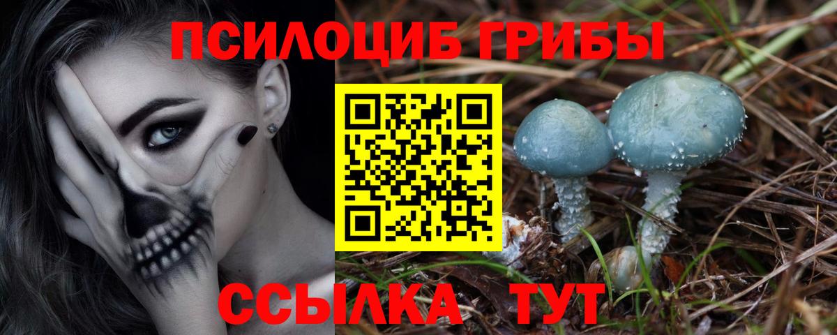 Балашиха  Галлюциногенные грибы мухоморы  Галлюциногенные грибы GOLDEN TEACHER  Вход с VPN 